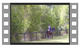 Video Dressage Coaching